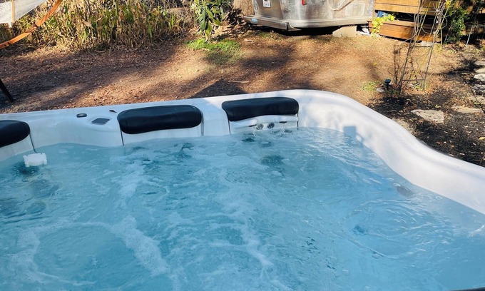 Govalle House | Cozy Cactus Airstream Central East Austin