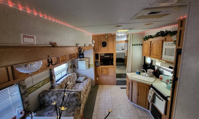 Citrus Springs House | Cozy Camper Under The Stars