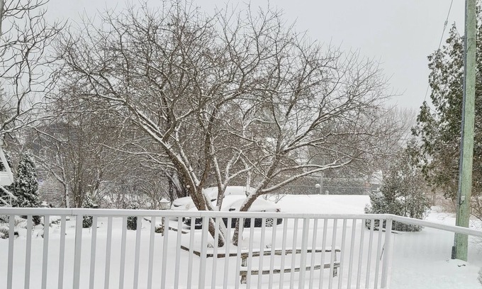 Victoria Road Cottage | Cozy cottage by Balsam Lake. 5 mins to beach