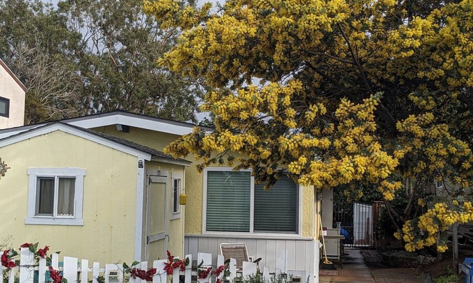 Baywood-Los Osos House | Cozy Cottage in Quiet Community.