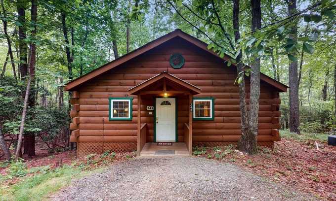 Sautee Nacoochee Cabin | Cozy Dog-Friendly Cabin with Hot Tub, Jetted Tub, Fireplace & WiFi