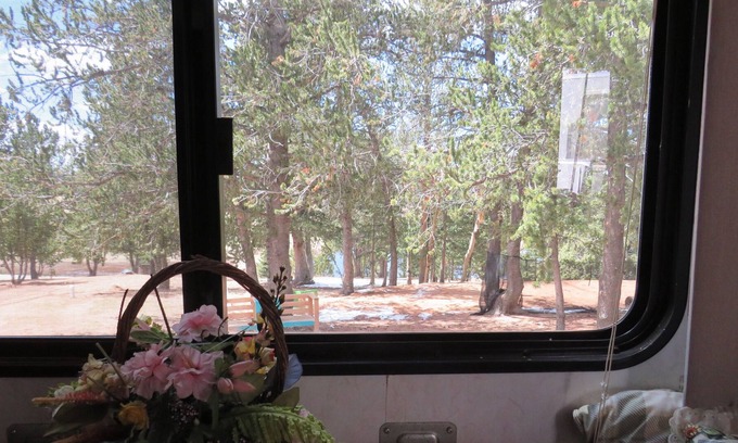 Cripple Creek House | Cozy Explorer at the Enchanted Forest 5-7 mins from historic downtown & casinos!