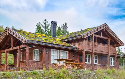 Atra House | Cozy Home In Rjukan With Kitchen