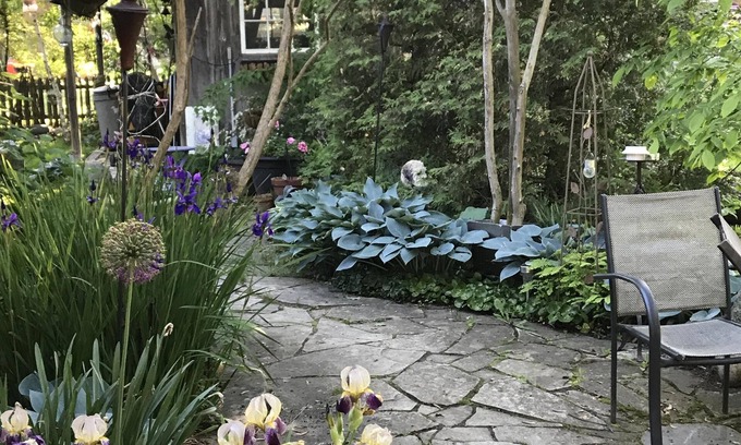 Plympton-Wyoming Cottage | Cozy Lake Huron Cottage - Gallimere Beach