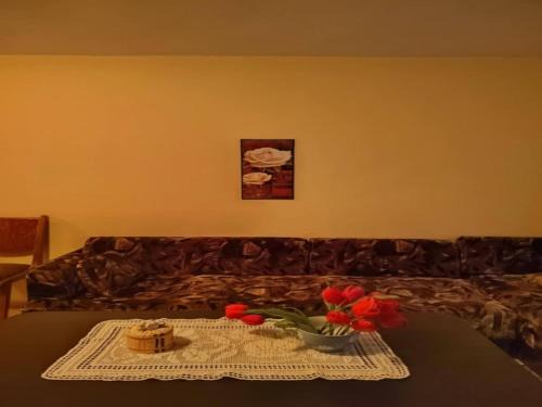 Karlovo Apartment | Cozy little flat in Karlovo