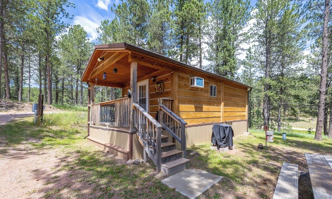 Custer Cabin | Cozy Log Cabin near Custer