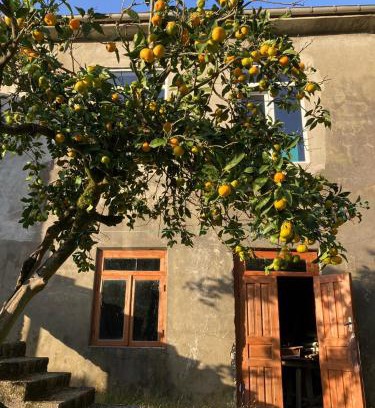 Kobuleti House | Cozy place in mountains of Ajaria