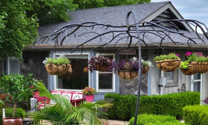 Springfield Cottage | Cozy private, 1 bed/1bath, fully handicapped accessible cottage, near Branson.