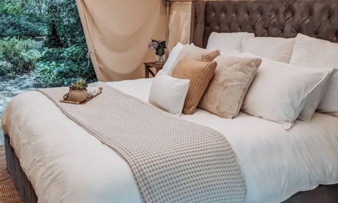 Tsawwassen Cabin | Cozy Retreat, 3 mins from the BC Ferries