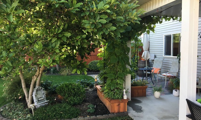 Kamloops House | Cozy retreat in Aberdeen Hills. Close to all amenities. Small dogs welcome.