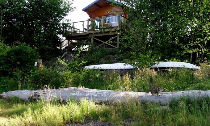 Ucluelet Cabin | Cozy, romantic waterfront cabin. Sleeps 2, pet-friendly, walk to all amenities.
