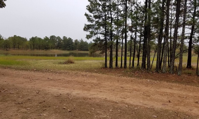 Antlers Apartment | Cozy studio pet friendly cabin- private lake - fishing & swim - Cowgirl Cabin