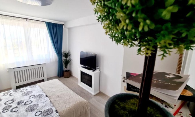 Tractorul Apartment | Cozy Studio
