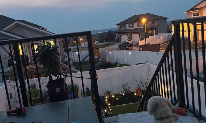 Sylvan Lake Apartment | Cozy studio, walking trails, beach, lake view
