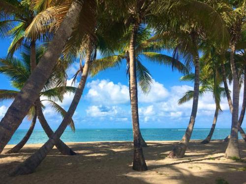 Zarzal Apartment | Cozy suite at coco Beach , not pets