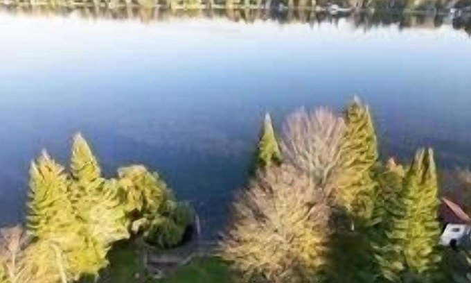 Bolsover House | Cozy waterfront cottage with private shoreline