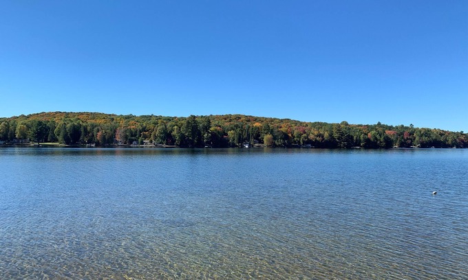Minden Cottage | Cozy West Facing Cottage on Twelve Mile Lake