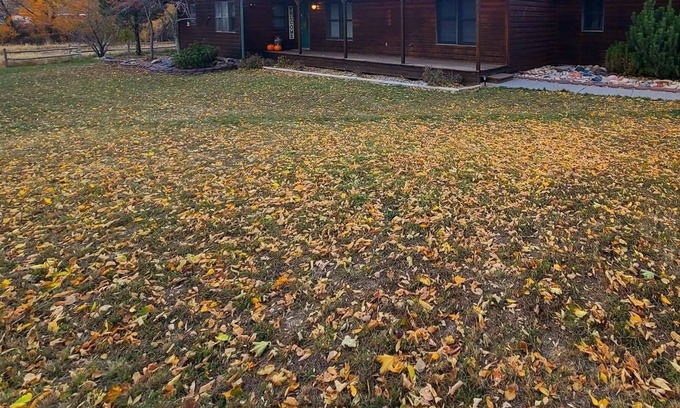 New Castle House | Creekside Retreat