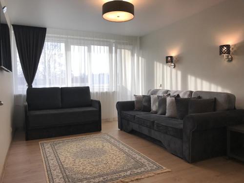Druskininkai Apartment | Crystal Grey