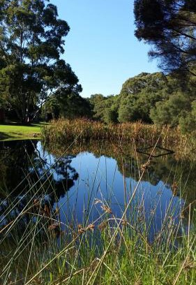 North Walpole House | Crystal Springs Holiday Accommodation
