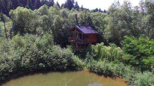 Moisei Cabin | Cuibul Vulturilor - Casuta in Copac