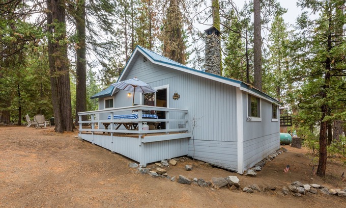 West Village Cabin | CUTE 2B/1B CABIN IN THE WEST VILLAGE ON MADRONE LANE