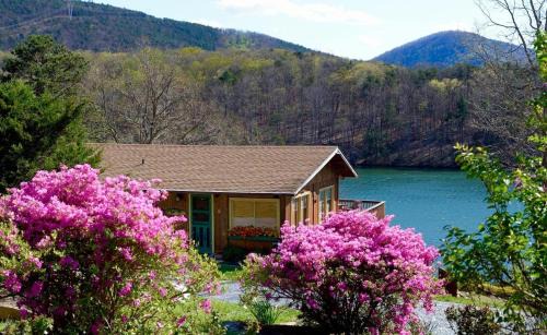 Huddleston House | Cute And Comfy Cabin