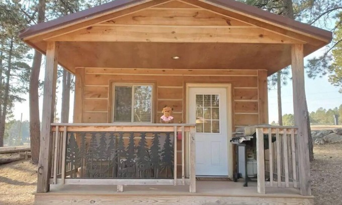 Custer RV Rental | Cute Camping Cabin in Custer - #16