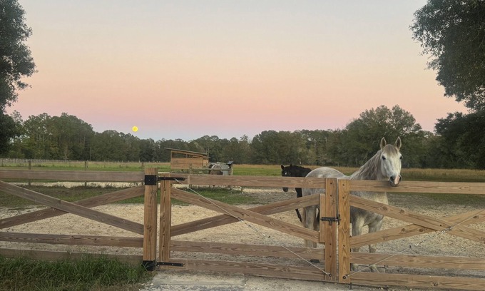 Starke Cottage | Cute cottage on 85-Acre horse farm
