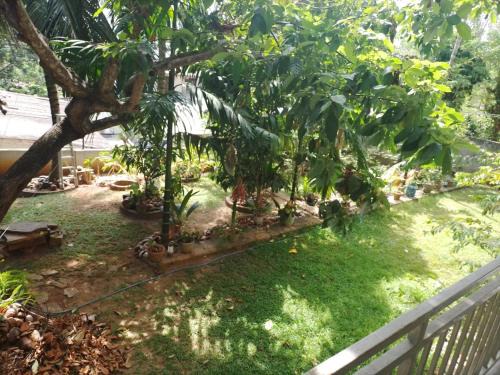 Menikhinna House | cyber city hotel kandy