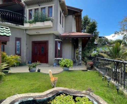 Anniwatta Apartment | D lion villa