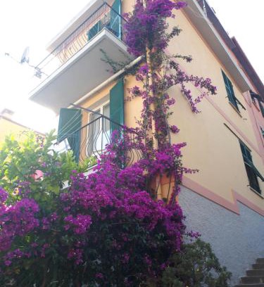 Pitelli Apartment | Da Rita