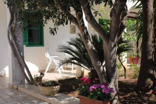 San Vito Lo Capo Apartment | Da Silvia, a due passi dal mare