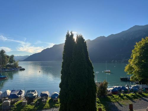 Brienz Apartment | Dachwohnung mit Balkon am Brienzersee, Brienz BE
