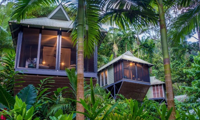 Lower Daintree Resort | Daintree Ecolodge