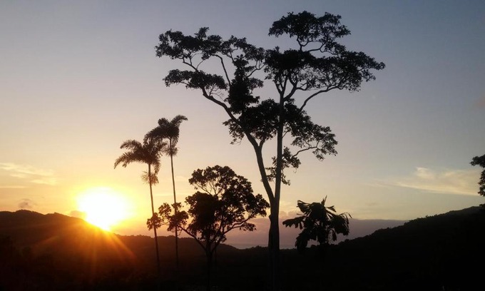 Cow Bay House | Daintree Holiday Homes - Yurara