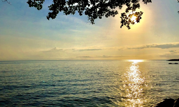 Forest Creek Bed & Breakfast | Daintree Manor Bed & Breakfast