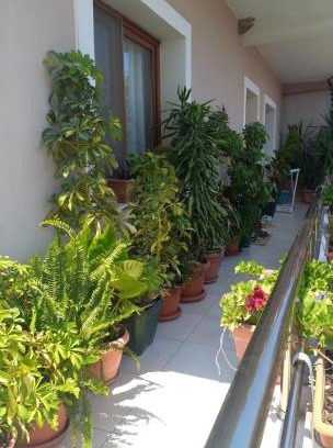 Tirana Apartment | DAJTI VIEW Ap