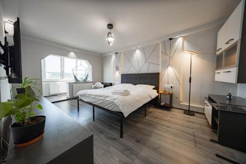 Cluj County Apartment | Damasi Apartments