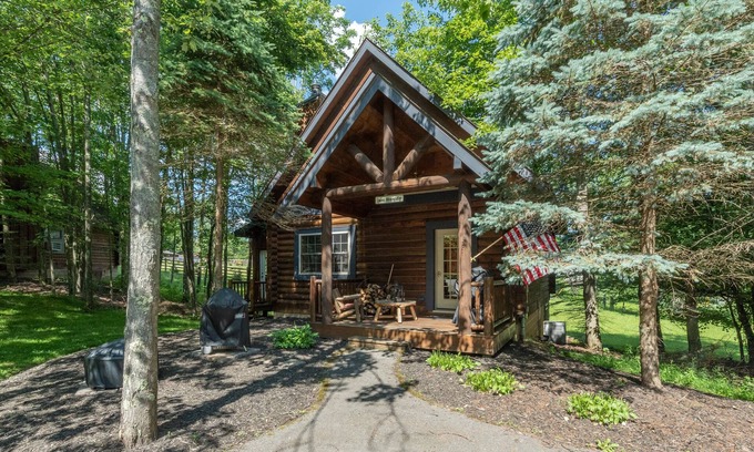 Thayerville Cabin | Dan's Mountain: Lake Area, Dogs Welcome, 2 Fireplaces, Hot Tub!