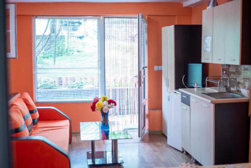 Sapareva Banya House | Danailovi Guest House