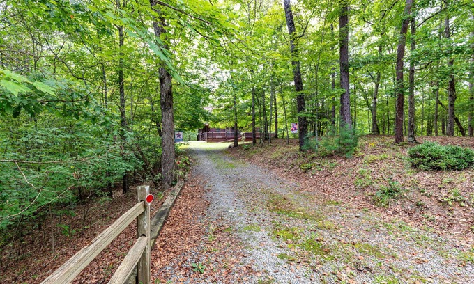 Mineral Bluff Cabin | Dancing Bears Cabin - Secluded 3-Bedroom, 3.5-Bath Luxury Cabin with Hot Tub