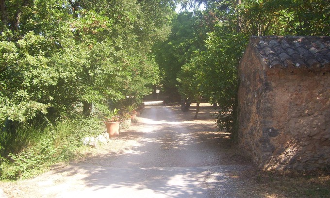 Flassans-sur-Issole House | Dans un Domaine Viticole-grande Maison Datant de 1830 Environ
