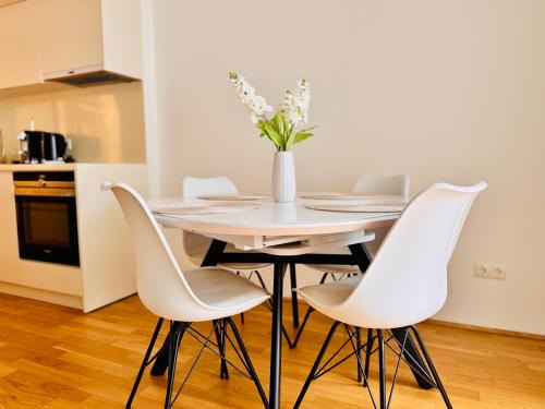 Kaisermuhlen Apartment | Danube22 Apartment
