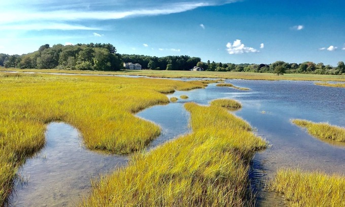 Ogunquit - Wells House | Darling Moody Beach Cottage; Marsh Views & Steps Away from Beach. Sleeps 6-8.