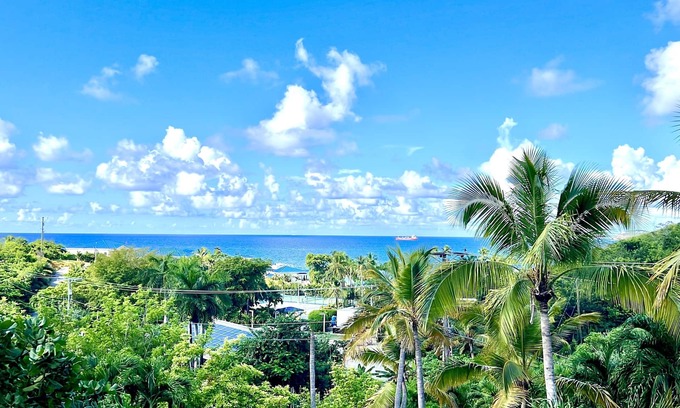 Flag Hill House | Darling Palms Retreat: Beachside 2-Bedroom Oasis