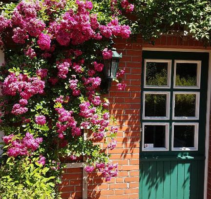 Halbemond House | Dat moi lüttje Ostfreesen Landhuus