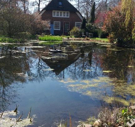 Epe Bed & Breakfast | De Geheime Tuin - Uitzicht