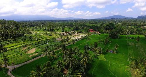 Undisan Resort | De Klumpu Bali Eco Tradi Stay