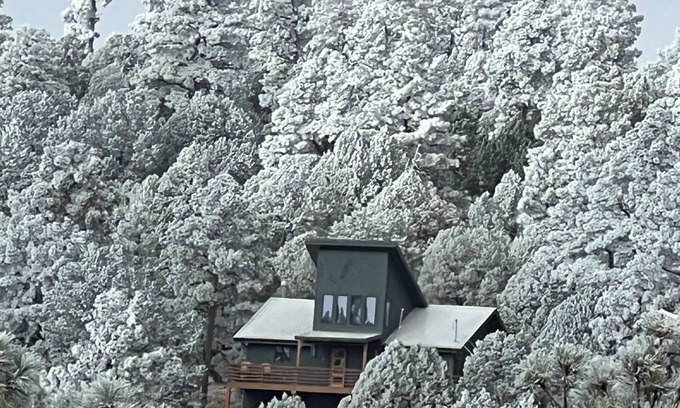 Alto Cabin | Deer Lover's Paradise